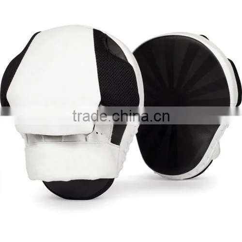 Focus Pads VI - 2509