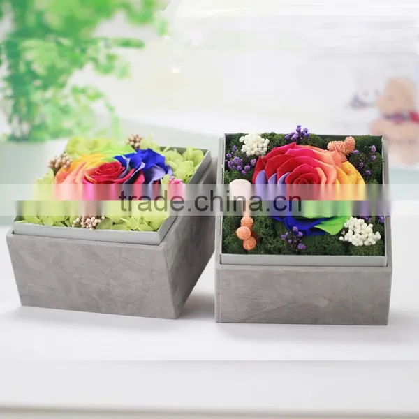 2016 Yiwu Aimee Wholesale Fresh Colorful Preserved Flower(AM-PF01) photo-3