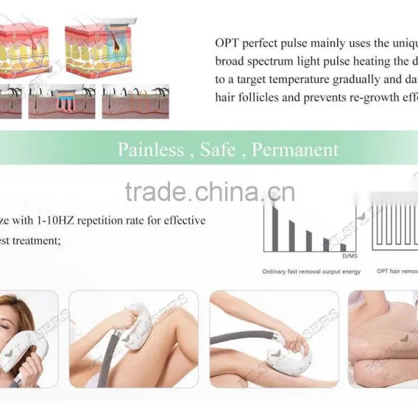 Multifunctional Machine Medical CE Approved Factory SHR /OPT/ IPL+Laser for Man and Women Hair Removal Machine photo-5