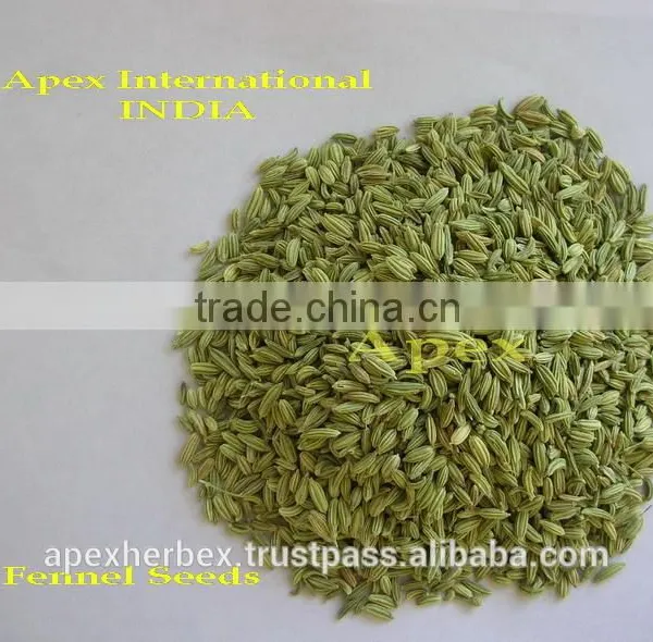 Foeniculum Vulgare / Fennel Seeds / Saunf Whole Spice