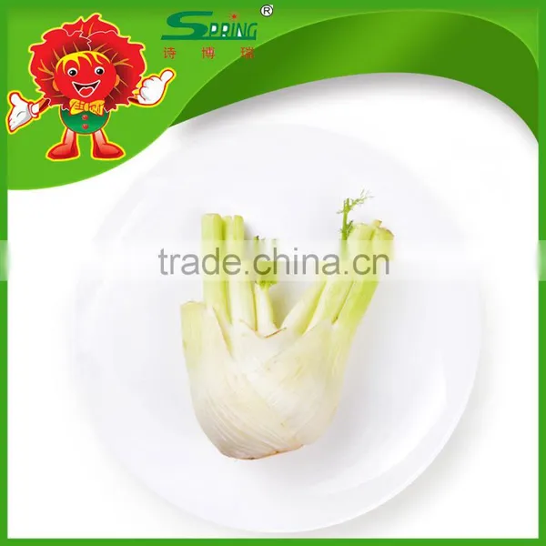 FRESH FENNEL photo-5
