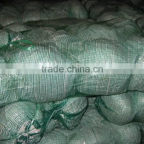 Round Cabbage/Flat Cabbage photo-2