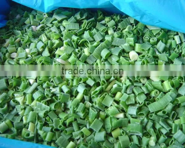 IQF Scallions Export to UK photo-2