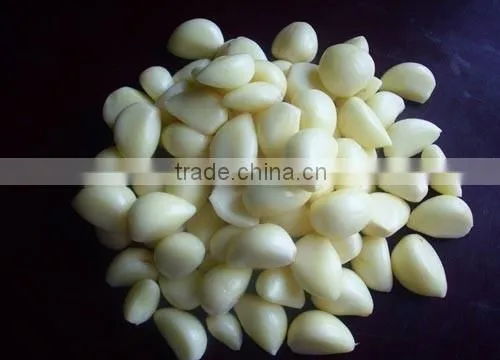 China Garlic Price 2016 photo-3