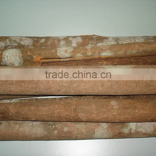 Vietnam Cassia Whole Tube High Quality photo-4
