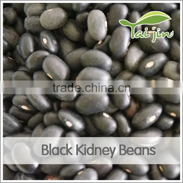 Types of Black Beans 2015 Black Kidney Beans/ Black Matpe Beans photo-3
