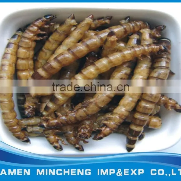 Microwave Dried Superworm