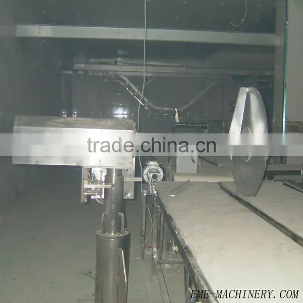 Pig Abattoir Equipment For Subsection Saw/Slaughterhosue Equipment photo-5