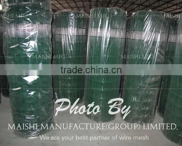 Green Color PVC Coated Wire Mesh photo-5
