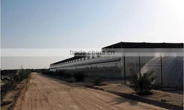 Polycarbonate Sheet Greenhouse-2