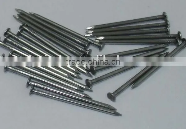 Zinc Plated /galvanised Concrete Nails/cement Nails