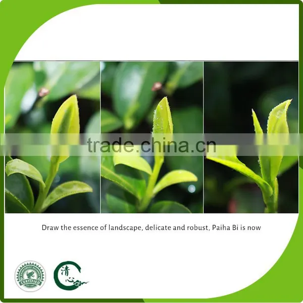 China Green Tea West Lake Longjing Aroma Fragrance Green Tea photo-5
