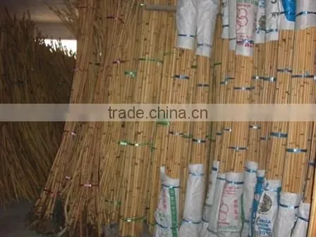 Raw Manau Rattan Cane Roots photo-2
