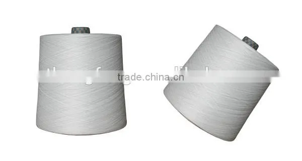 Nylon 6 Twisted Yarn photo-3