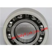 6024/C3VL0241 Insulated Bearing
