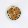 Copper Conductor XlPE Insulated PVC Outsheath Flexible Cable