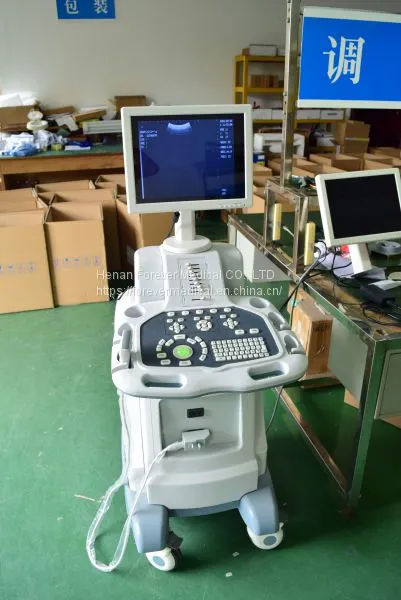 Cheap Trolley Ultrasound Machine & Medical Ultrasound for Obsterics photo-5