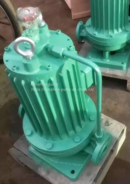 PBG Screeded Pipeline Centrifugal Pump photo-2