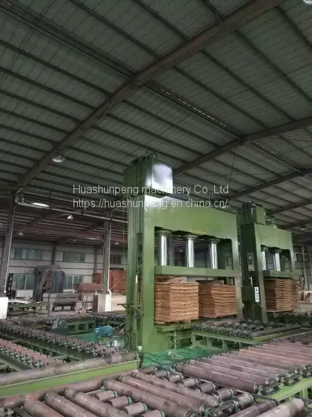 400 Ton Cold Press Wood Veneer Decorative Board Artificial Board Joinery Board photo-2