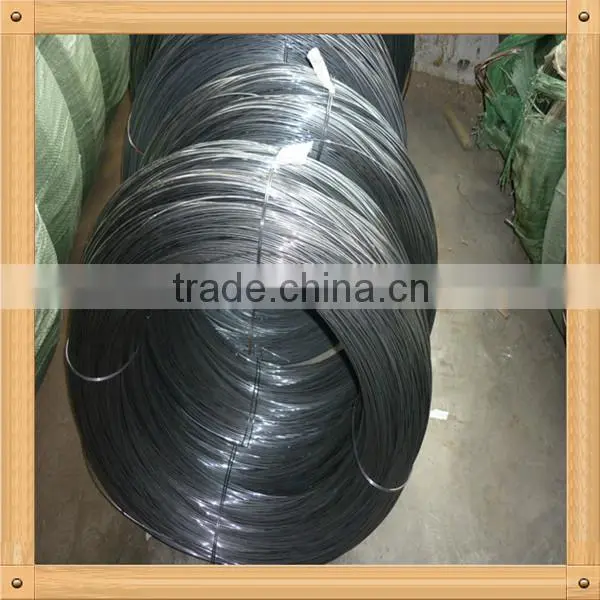 Black Iron Wire photo-3