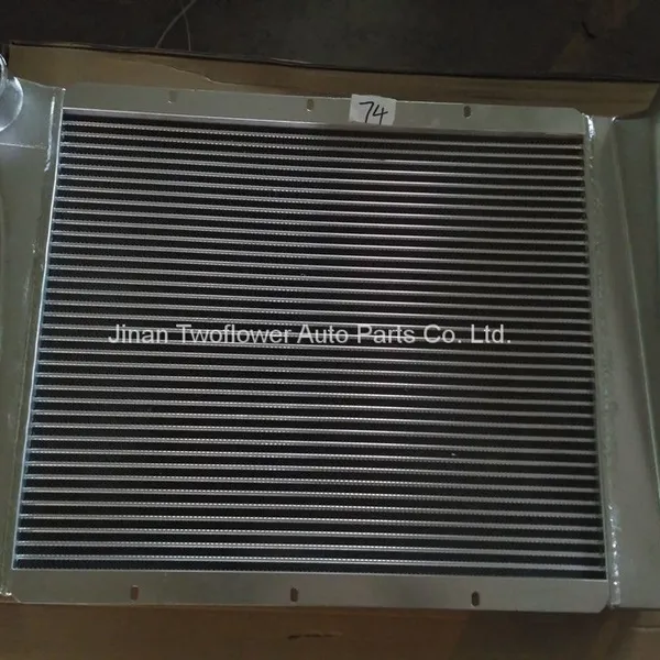 DZ9112530269 Intercooler