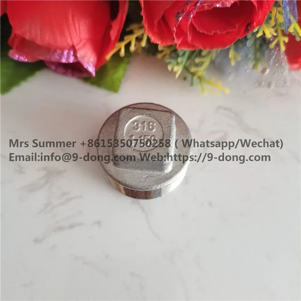 DN25 Stainless Steel Pipe Square Plug 1