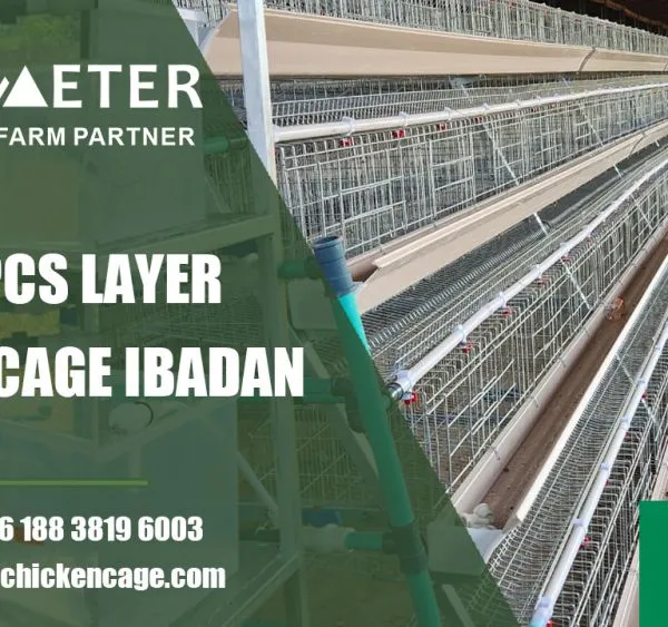 A-Type 4-Tier Layer Battery Chicken Cage System for Sale to Nigeria Africa
