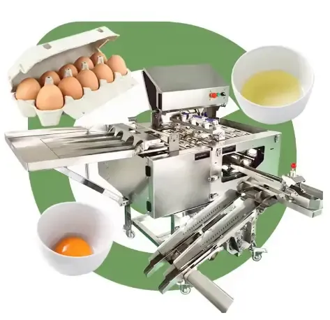 Shanghai New Egg Liquid Powder Processing Machine for Snack Meat Vegetable Flour Mill/Winery/Bakery Applications Engine Motor photo-5