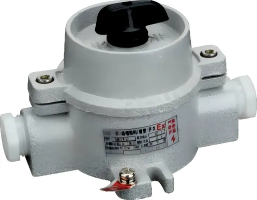 Explosion-proof switch, lighting switch, anti-corrosion switch 220V/10A