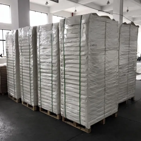 PE Coated Paper Sheet photo-2