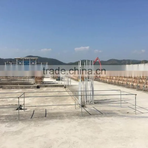 Export Dried Shredded Squid, Dried Illex Squid photo-5