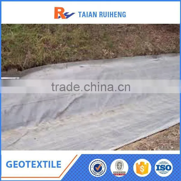 Polyester/Pp Needle-Punched Nonwoven Geotextile photo-2