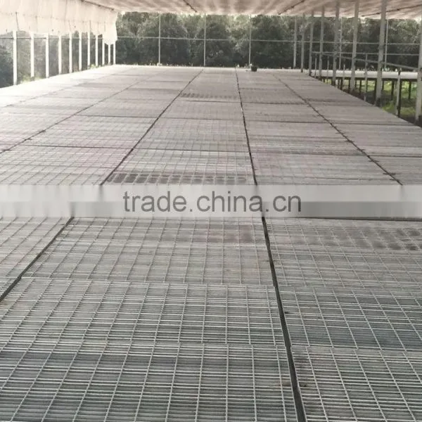 Galvanized Steel Grating or Welded Steel Grating for Pool Grating photo-4