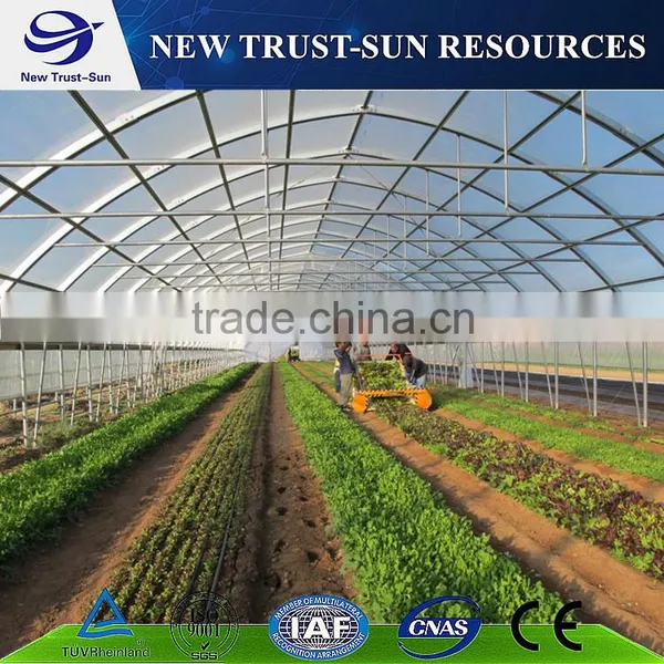 Chinese High Quality and Low Price Multi-span PE/PVC Greenhouse