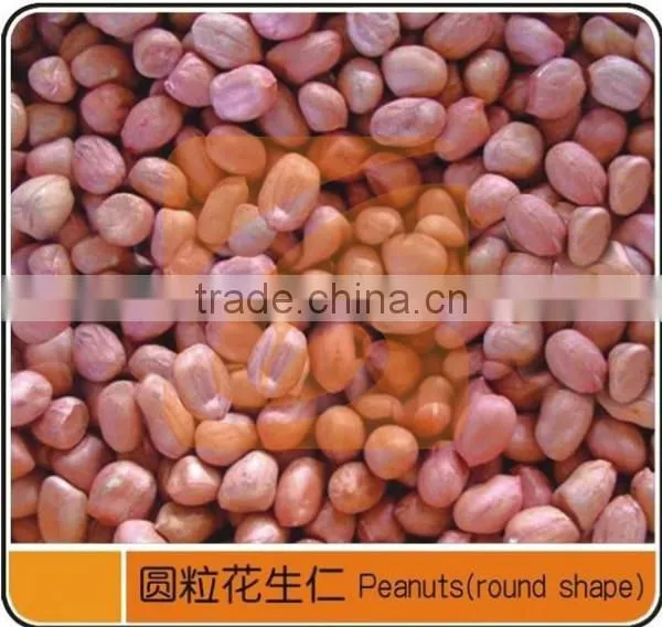 Competitive Quality Good Performance Groundnut Shelling Sieving Processing Line photo-6