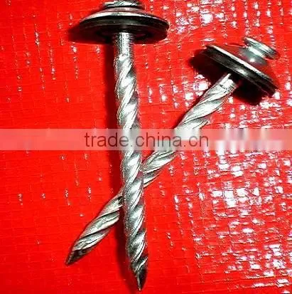 Sudan Market Twisted Nails photo-5