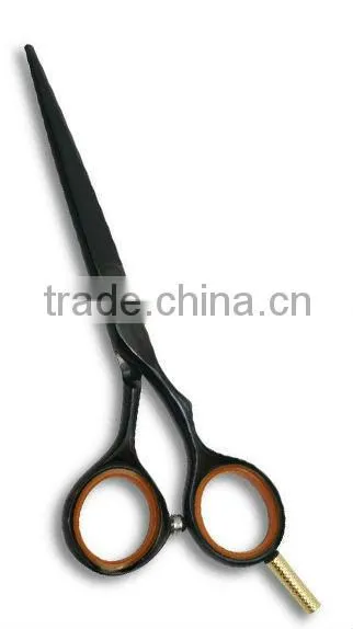 Professional Hairdressing Shears.