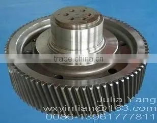 Petroleum and Chemical Machinery Gear