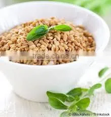 FENUGREEK SEEDS photo-5