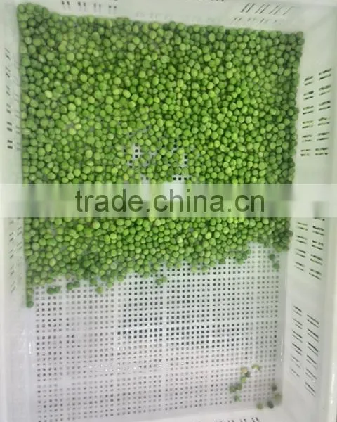 Frozen Green Pea photo-5