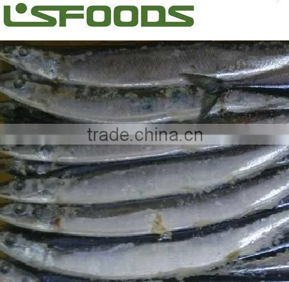 2015 Frozen Pacific Saury From China photo-2