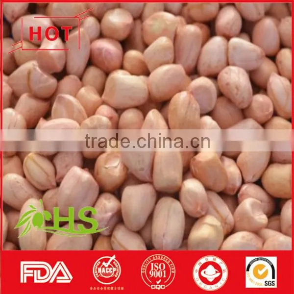 Blanched Peanut Kernel/Peanuts in Red Shell/Peanut Kernels photo-6