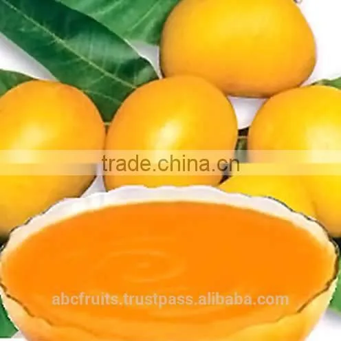 Premium Totapuri Mango Pulp Supplier
