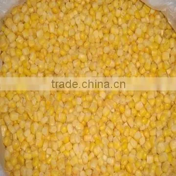 Sweet Corn Kernel