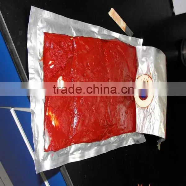 Chinese Good Quality Canned Tomato Paste photo-2