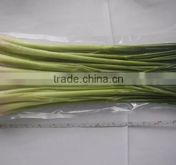 Frozen Lemongrass Whole photo-3