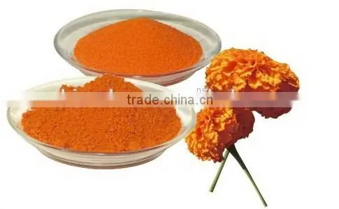 Lutein Powder /Xanthophyll/Marigold Extract/Marigold Extract Powder