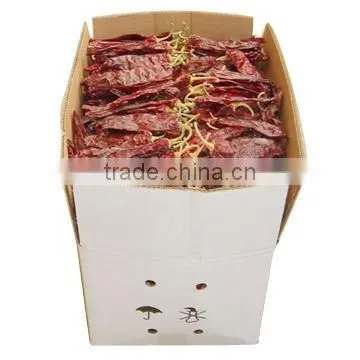 New Design Dry Cleaning Paprika photo-4