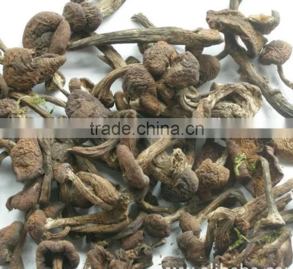 Detan Mushroom Dried Oyster Mushrooms photo-3