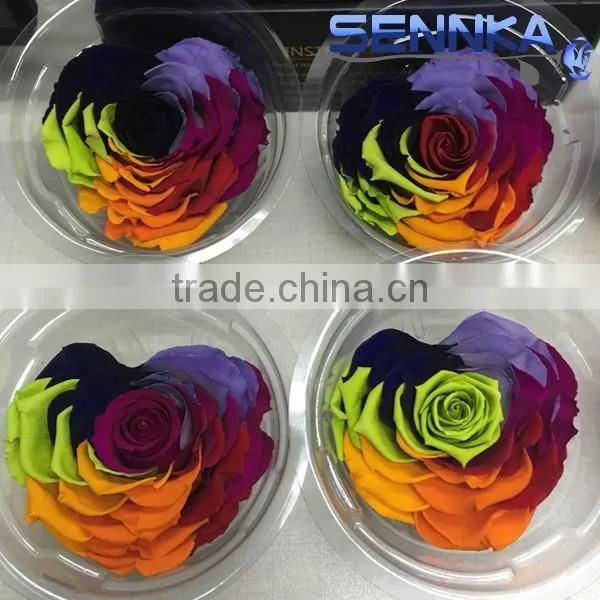 Heartshaped Long Life Rose Preserved Flowers for Arrangement photo-3